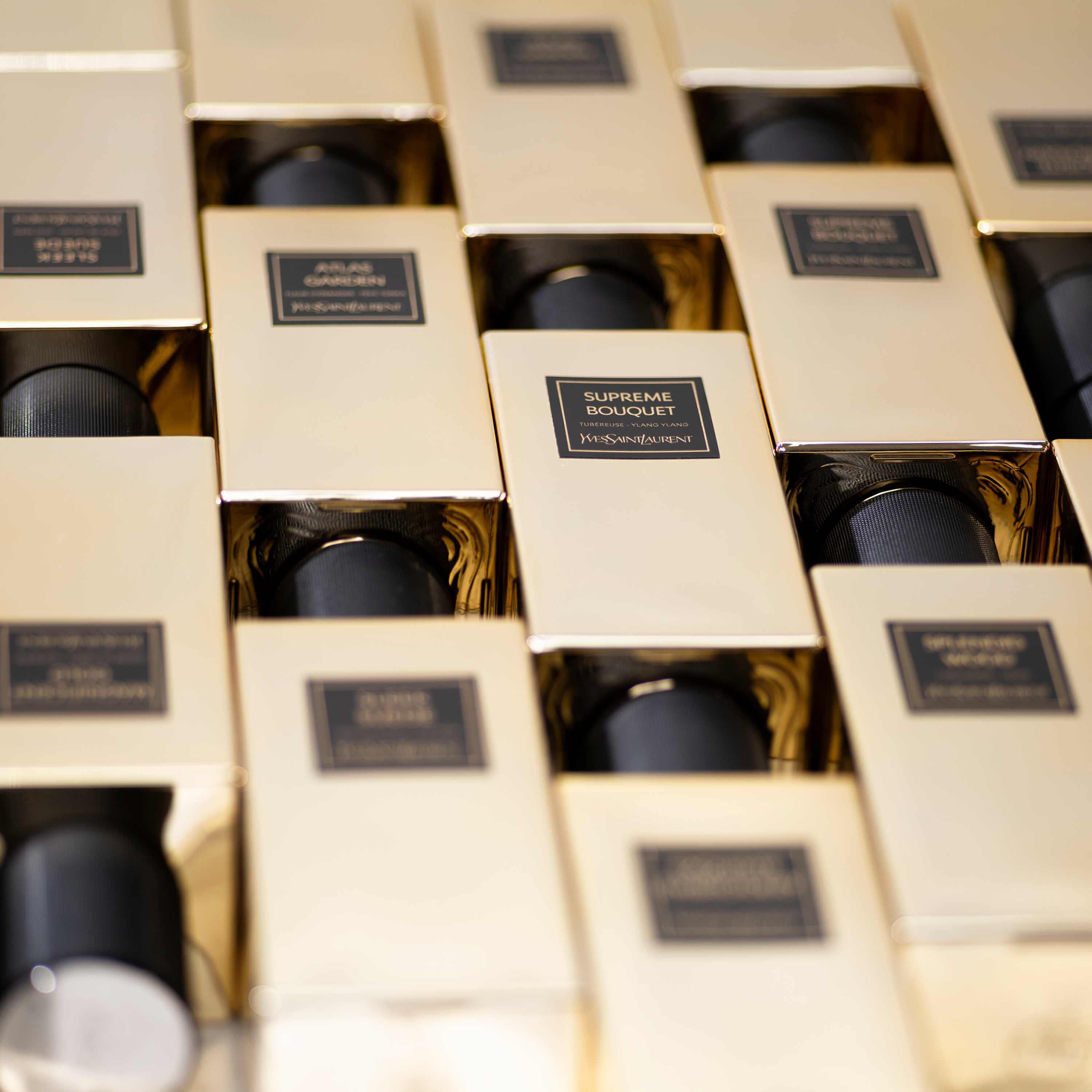 Wild deals leather perfume